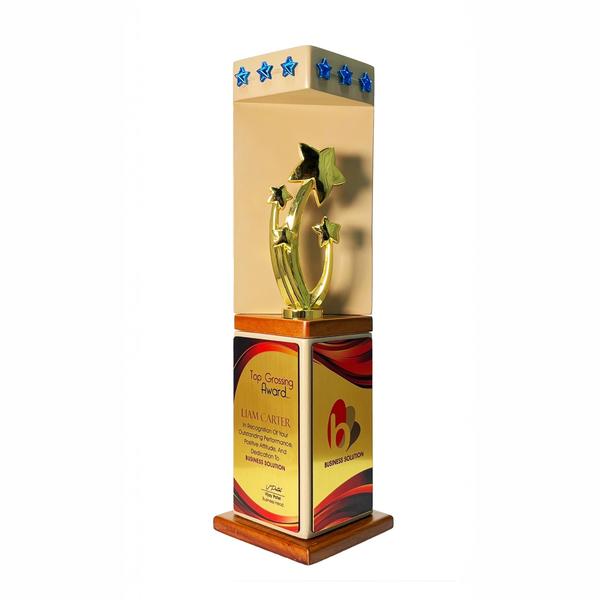 A stylish Wood & Metal Trophy combining natural wooden elegance with sleek metal accents, perfect for any achievement.Durable and customizable, it’s a timeless award designed to celebrate excellence with lasting impact.