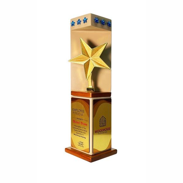 A stylish Wood & Metal Trophy combining natural wooden elegance with sleek metal accents, perfect for any achievement.Durable and customizable, it’s a timeless award designed to celebrate excellence with lasting impact.