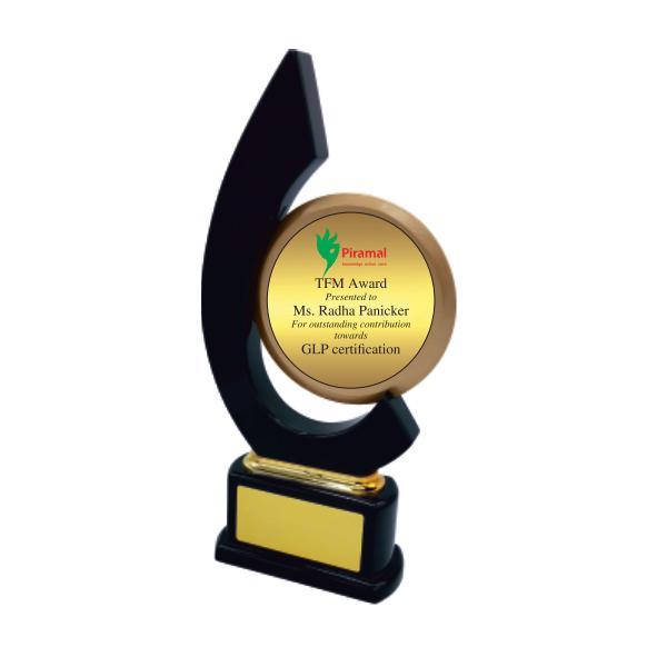 Wood Metal Trophy