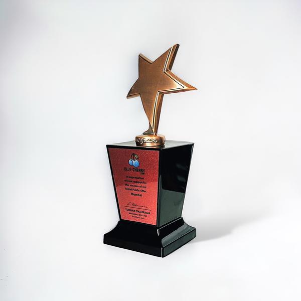 Wood Metal Trophy