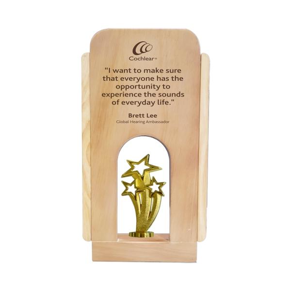 Wood Metal Trophy