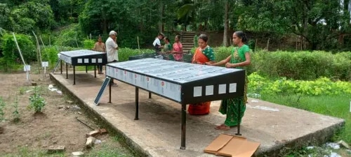 Solar Drying Machine For Jackfruit product image