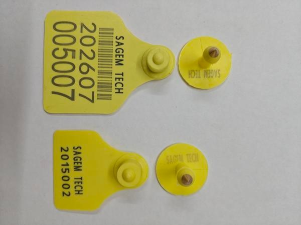 An animal ear tag seal is a tamper-resistant identification tag attached to an animal’s ear for tracking and management. It usually locks in place and cannot be removed without breaking.1.Animal identification, Traceability, Ownership Record Used for -Cow,Buffalo,Cattle,Gots Sheep,Pigs etc.