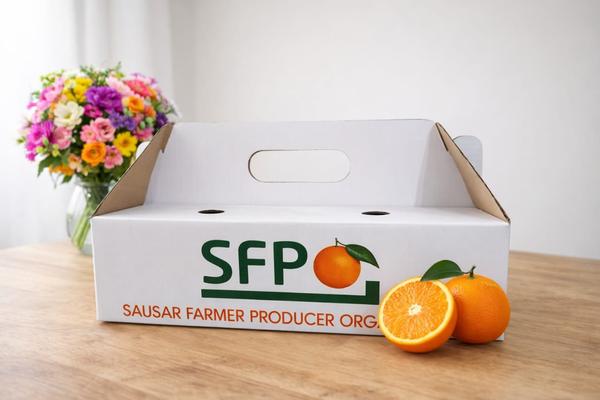 Orange Packaging Box