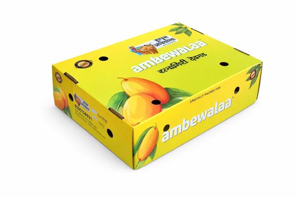 Devgad Alphonso Mangos packaging box