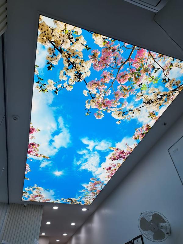 Stretch ceilings are modern, durable, and versatile suspended ceiling systems made from PVC or fabric, stretched across a perimeter aluminum profile. They offer a flawless finish with options like matte, glossy, or custom prints, providing moisture resistance, fire safety, and fast installation