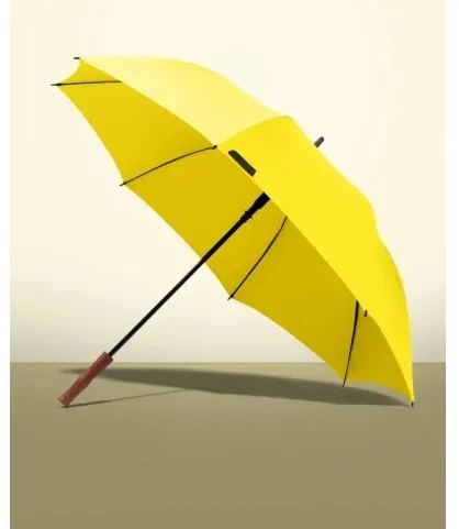 Umbrella branding can be done with 2fold,3 fold, Large format umbrella like 6,7,8 feet