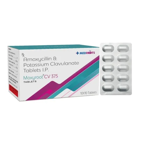 MOXYROOT CV 375 product image