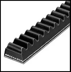 Multi Groove Belt Supplier in Nagpur, Chandrapur, Amravati, Wardha, Bhandara & Gondia product image