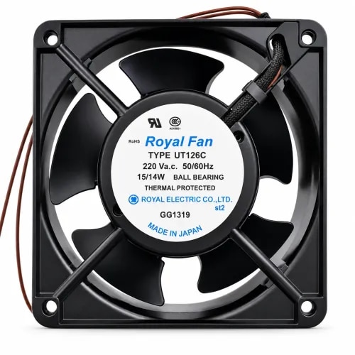 Royal Fan 