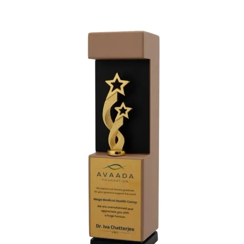 Wood Metal Trophy
