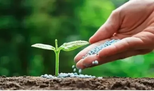 Bio FertilizersMultiline Agro Industries offers quality Bio Fertilizers in Pune, Maharashtra, formulated for agricultural applications and suitable for vegetable crops. Our bio fertilizer products are available in convenient packaging and are intended to support modern agricultural practices and crop nutrition requirements.Product SpecificationsSpecification DetailsProduct Name Bio FertilizersPrice ₹360/KgPackaging Size 25 KgPackaging Type PP BagTarget Crops VegetablesGrade Standard Bio-Tech GradeUsage/Application AgriculturePurity 100%Bio Fertilizer Supplier in PuneMultiline Agro Industries provides Bio Fertilizers for agricultural use, serving farmers, agricultural businesses, dealers and bulk buyers. We focus on providing reliable fertilizer products with suitable packaging and supply options.For product availability, bulk requirements and the latest price, contact Multiline Agro Industries, Pune.