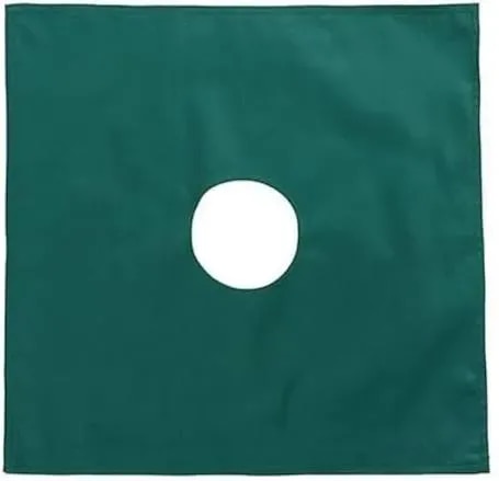 Drape Sheet with Hole product image