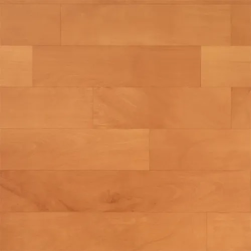 Braavo AR 053 product image