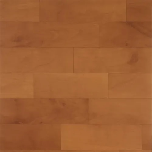 Braavo AR 054 product image