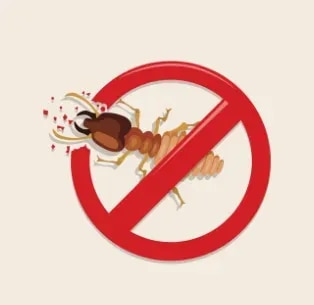 Termite Control ServicesProfessional Termite Control Services in NashikTermites can silently damage wooden furniture, doors, flooring, walls, documents, and other valuable parts of a property. Early detection and professional treatment are important to control termite activity and help prevent further damage. Kamal Care Services provides professional termite control and anti-termite treatment services in Nashik for residential, commercial, and industrial properties.Our termite control solutions are designed to identify termite activity, understand the extent of infestation, and provide a suitable treatment plan based on the property and infestation level. We focus on effective pest management, preventive measures, and long-term protection against recurring termite problems.Residential Termite ControlOur residential termite control services help protect homes, apartments, villas, offices within residential buildings, furniture, wooden structures, and other areas vulnerable to termite infestation. Our professionals assess the affected areas and recommend an appropriate treatment to control existing termite activity and reduce the risk of future infestation.Commercial Termite ControlTermites can affect offices, shops, restaurants, hotels, schools, warehouses, storage areas, and other commercial premises. Kamal Care Services provides customized commercial termite control solutions designed to protect property, furniture, fixtures, and important materials while helping maintain a clean and hygienic environment.Industrial Termite ControlIndustrial facilities and warehouses may have large areas that require systematic pest inspection and preventive management. Our industrial termite control services in Nashik are tailored to the requirements of the premises, helping businesses manage termite risks and protect infrastructure, storage areas, wooden fixtures, and other vulnerable locations.Pre-Construction Anti-Termite TreatmentPreventive termite treatment during the construction stage can help reduce the risk of termite infestation after a building is completed. Kamal Care Services also undertakes pre-construction anti-termite treatment for suitable projects, helping create a preventive barrier against termite entry.Why Choose Kamal Care Services for Termite Control?Professional termite inspection and treatmentResidential, commercial, and industrial termite controlPre-construction anti-termite treatmentCustomized pest management solutionsPreventive termite control programsTrained and experienced service professionalsFocus on safety, hygiene, and effective pest managementRegular maintenance and pest prevention solutionsServices tailored to individual property requirementsProtect Your Property from Termite DamageIgnoring early signs of termite activity can allow an infestation to spread to hidden areas of a property. Professional inspection and timely treatment can help minimize potential damage and support long-term pest management.Kamal Care Services is your trusted choice for termite control services in Nashik, offering customized solutions for homes, offices, commercial establishments, warehouses, and industrial facilities.Contact Kamal Care Services today to schedule a termite inspection and discuss the right anti-termite treatment for your property.
