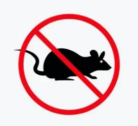 Rodent Control ServicesProfessional Rodent & Rat Control Services in NashikRats and mice can cause serious problems in homes, offices, restaurants, warehouses, commercial establishments, and industrial premises. Rodents can contaminate food and storage areas, damage electrical wiring, furniture, insulation, packaging materials, and other property while creating an unhygienic environment.Kamal Care Services provides professional rodent control and rat control services in Nashik for residential, commercial, and industrial properties. Our pest management solutions are designed to control existing rodent activity and help reduce the chances of recurring infestations.Residential Rodent ControlRodents can enter homes through small openings, drainage areas, utility passages, doors, windows, and other access points. Our residential rodent control services help identify signs of infestation and address areas where rats and mice may hide, feed, or enter the property.We provide customized solutions for houses, apartments, villas, kitchens, storerooms, parking areas, and other residential spaces.Commercial Rodent ControlRodent infestations can affect business operations, hygiene, stored materials, and customer confidence. Kamal Care Services provides commercial rodent control services in Nashik for offices, restaurants, hotels, shops, supermarkets, warehouses, institutions, and other business premises.Our approach focuses on controlling rodent activity while helping businesses maintain cleaner and more hygienic surroundings.Industrial Rodent ControlIndustrial facilities, warehouses, manufacturing units, food-processing areas, and storage facilities can be particularly vulnerable to rodent activity. Our industrial rodent control solutions are customized according to the property layout, infestation level, storage conditions, and potential rodent entry points.We also provide preventive pest management solutions to help businesses reduce the risk of recurring rodent problems.Common Signs of Rodent InfestationLook out for signs such as:Rat or mouse droppingsGnaw marks on wires, furniture, wood, and packagingScratching or movement sounds, particularly at nightDamaged food packets or stored productsUnpleasant urine or rodent odorsNesting materials in hidden areasRodent tracks or grease marks along wallsFrequent sightings of rats or miceEarly identification can help prevent a small rodent problem from developing into a larger infestation.Our Rodent Control ApproachKamal Care Services follows a systematic pest management approach based on the requirements of each property. This may include identifying rodent activity, locating potential entry points, placing suitable control measures, monitoring activity, and recommending preventive steps.We focus not only on controlling visible rodents but also on identifying conditions that may contribute to recurring infestations.Why Choose Kamal Care Services?Professional rodent and rat control services in NashikResidential, commercial, and industrial solutionsCustomized pest management programsIdentification of potential rodent entry pointsPreventive rodent management solutionsTrained and experienced pest control professionalsSuitable solutions for offices, restaurants, warehouses, and industrial premisesRegular monitoring and maintenance optionsFocus on hygiene, safety, and customer satisfactionProtect Your Property from Rodent InfestationRodents can multiply quickly and may cause damage that is not immediately visible. Professional rat and mouse control can help protect your property, stored goods, electrical systems, food areas, and workplace hygiene.Choose Kamal Care Services for professional rodent control in Nashik and get a customized pest management solution for your home, business, warehouse, or industrial facility.Contact Kamal Care Services today to schedule a rodent inspection and discuss the right rodent control solution for your property.