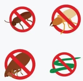 Pest and Insect Control ServicesProfessional Pest and Insect Control Services in NashikUnwanted pests and insects can affect the hygiene, comfort, safety, and cleanliness of your home or workplace. Common pests such as cockroaches, ants, flies, mosquitoes, spiders, bedbugs, and other insects can quickly multiply when suitable breeding and hiding conditions are available.Kamal Care Services provides professional pest and insect control services in Nashik for residential, commercial, and industrial properties. Our pest management solutions are designed to identify pest activity, address infestation sources, and help prevent recurring pest problems through customized treatment and preventive measures.Residential Pest and Insect ControlPests inside the home can create an uncomfortable and unhygienic living environment. Our residential pest control services are designed for houses, apartments, villas, kitchens, bedrooms, bathrooms, balconies, storage areas, and other residential spaces.We provide customized solutions for common household pests, including:CockroachesAntsFliesMosquitoesSpidersBedbugsOther common household insectsOur team assesses the affected areas and recommends a suitable pest control treatment according to the type and extent of infestation.Commercial Pest Control ServicesBusinesses need a clean and pest-free environment to protect their premises, employees, customers, products, and reputation. Kamal Care Services offers commercial pest control services in Nashik for offices, restaurants, hotels, shops, warehouses, schools, institutions, and other commercial establishments.Our customized pest management solutions help businesses control common insect infestations and maintain better hygiene across their premises.Industrial Pest and Insect ControlIndustrial facilities, warehouses, storage areas, manufacturing units, and other large premises may face recurring pest problems due to food sources, moisture, waste, storage conditions, and potential entry points.Our industrial pest control services are planned according to the property layout, pest activity, operational requirements, and infestation conditions. We also provide preventive pest management solutions to help reduce the possibility of recurring infestations.Common Pest and Insect Problems We ControlKamal Care Services provides solutions for a wide range of common pest and insect problems, including:Cockroach Control: Treatment for cockroach infestations in kitchens, restaurants, offices, homes, and commercial premises.Ant Control: Targeted solutions to help control ant activity and address common nesting and entry areas.Fly Control: Pest management solutions to reduce fly activity around homes, food areas, commercial premises, and waste-affected locations.Mosquito Control: Customized mosquito management solutions for residential and commercial properties.Spider Control: Treatment and preventive measures for spider activity and web formation in indoor and outdoor areas.Bedbug Control: Professional treatment for bedbug infestations in bedrooms, furniture, mattresses, hotels, hostels, and other affected areas.Our Pest Control ApproachAt Kamal Care Services, we focus on understanding the source of the pest problem before recommending a treatment. Our service approach may include:Property Inspection – Identifying pest activity, breeding areas, nesting locations, and possible entry points.Pest Identification – Determining the type of pest and understanding the extent of the infestation.Customized Treatment – Selecting an appropriate treatment approach based on the property and pest problem.Preventive Measures – Recommending practical steps to reduce pest entry, breeding, and recurring infestations.Regular Maintenance – Offering ongoing pest management solutions for properties requiring regular protection.Why Choose Kamal Care Services?Professional pest and insect control services in NashikResidential, commercial, and industrial pest managementCustomized treatment plans based on pest infestationSolutions for cockroaches, ants, flies, mosquitoes, spiders, bedbugs, and other insectsFocus on hygiene, safety, and effective pest managementTrained and experienced pest control professionalsInspection and preventive pest management solutionsRegular maintenance and pest control programsCustomer-focused and reliable serviceKeep Your Property Clean, Safe and Pest-FreeA timely pest control treatment can help prevent minor pest problems from becoming larger infestations. Whether you are dealing with cockroaches in your kitchen, ants in your home, flies around your business, mosquitoes around your premises, or other unwanted insects, Kamal Care Services provides customized pest management solutions for your requirements.Choose Kamal Care Services for professional pest and insect control in Nashik and protect your home, business, or industrial property with reliable pest management solutions.Contact Kamal Care Services today to schedule a pest inspection and find the right pest control solution for your property.