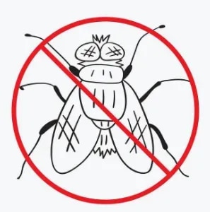 Fly Control ServicesProfessional Fly Control Services in NashikFlies can become a major hygiene and sanitation concern in homes, restaurants, hotels, offices, shops, warehouses, food-related businesses, and industrial premises. They can quickly multiply around food waste, garbage, drains, moisture, and other breeding areas. Effective fly management requires identifying the source of the infestation and implementing suitable control and preventive measures.Kamal Care Services provides professional fly control services in Nashik for residential, commercial, and industrial properties. Our customized pest management solutions are designed to help control fly activity, address potential breeding areas, and maintain a cleaner and more hygienic environment.Residential Fly Control ServicesFlies inside or around your home can affect comfort and hygiene, particularly in kitchens, dining areas, garbage storage areas, balconies, and other locations where food waste or moisture may be present.Our residential fly control services help identify areas contributing to fly activity and provide appropriate pest management solutions for houses, apartments, villas, kitchens, and surrounding areas.Commercial Fly Control ServicesRestaurants, hotels, cafés, food outlets, shops, offices, and other commercial establishments need effective fly management to maintain cleanliness and provide a comfortable environment for customers and employees.Kamal Care Services offers commercial fly control in Nashik with customized solutions for business premises. Our services focus on controlling existing fly activity while helping identify sanitation and environmental conditions that may contribute to recurring infestations.Industrial Fly Control ServicesIndustrial facilities, warehouses, food-processing areas, manufacturing units, storage facilities, and large commercial premises can experience fly problems due to waste, organic materials, moisture, drainage systems, and other environmental factors.Our industrial fly control services are planned according to the requirements of the premises and may include inspection, treatment, monitoring, and preventive recommendations to help manage fly activity.Common Fly Breeding AreasFlies commonly become active around areas where food, waste, moisture, or organic material is present. Potential problem areas include:Garbage and waste collection areasKitchen and food preparation areasDrains and damp locationsFood storage areasOrganic wasteDirty or stagnant waterCompost and waste disposal areasAnimal or livestock waste areasUnclean outdoor surroundingsIdentifying and managing these conditions is an important part of effective fly control.Our Fly Control ApproachKamal Care Services follows a systematic approach to fly management based on the property and infestation conditions.Inspection: We assess the premises to identify fly activity, potential breeding locations, food sources, moisture, waste, and possible entry points.Treatment: Suitable pest management methods are selected according to the type and level of fly infestation.Source Management: We identify environmental conditions that may contribute to fly breeding and recommend practical corrective measures.Preventive Control: Preventive recommendations and regular maintenance can help reduce the possibility of recurring fly infestations.Benefits of Professional Fly ControlHelps reduce unwanted fly activitySupports better hygiene and cleanlinessHelps identify potential fly breeding areasProtects food and storage areasHelps maintain a more comfortable environmentSupports preventive pest managementSuitable for residential, commercial, and industrial premisesWhy Choose Kamal Care Services?Professional fly control services in NashikResidential, commercial, and industrial pest managementCustomized solutions based on infestation conditionsFocus on hygiene, safety, and effective pest managementTrained and experienced service professionalsInspection and preventive pest control solutionsRegular monitoring and maintenance optionsCustomer-focused and reliable serviceKeep Your Property Free from Fly InfestationA fly problem can increase quickly when suitable breeding conditions are present. Timely professional pest management, combined with proper sanitation and waste management, can help control fly activity and reduce recurring problems.Kamal Care Services provides reliable fly control services in Nashik for homes, restaurants, hotels, offices, shops, warehouses, food-related businesses, and industrial facilities.Contact Kamal Care Services today to schedule a fly inspection and get a customized fly control solution for your property.