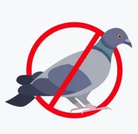 Professional Bird Control Services in NashikUnwanted birds, especially pigeons, can create significant hygiene and maintenance problems around residential, commercial, and industrial properties. Bird droppings, feathers, nesting materials, and repeated roosting can affect balconies, terraces, rooftops, warehouses, factories, offices, and other areas.Kamal Care Services provides professional Bird Control Services in Nashik to help reduce unwanted bird activity and protect your property from bird-related nuisance. Our solutions are planned according to the type of property, affected areas, bird activity, and site conditions.Pigeon and Bird Control ServicesPigeons and other birds often choose sheltered areas of buildings for resting and nesting. Once they establish a regular nesting or roosting location, the problem can become difficult to manage without appropriate preventive measures.Our bird control services in Nashik can help address bird activity around:Balconies and window ledgesTerraces and rooftopsBuilding parapetsAC outdoor unitsSolar panel areasParking areasWarehouses and industrial shedsBuilding shafts and open cavitiesCommercial premisesOther bird-prone locationsResidential Bird Control ServicesBird activity around homes and apartments can result in droppings, feathers, nesting materials, unpleasant odours, and frequent cleaning requirements.Kamal Care Services provides residential bird control solutions in Nashik for balconies, terraces, windows, rooftops, and other areas where birds frequently land, roost, or nest.Our approach focuses on reducing recurring bird activity while helping homeowners maintain cleaner and more manageable living spaces.Commercial Bird Control ServicesBirds can become a concern for offices, shops, restaurants, hotels, schools, hospitals, housing societies, warehouses, and other commercial properties.Regular bird activity may affect the appearance and cleanliness of the premises and increase maintenance requirements. Our commercial bird control services are designed around the property layout and the areas experiencing bird nuisance.Industrial Bird Control ServicesLarge industrial buildings, factories, warehouses, production facilities, and storage areas often have elevated structures and sheltered spaces where birds can roost or nest.Our industrial bird control services in Nashik help businesses identify bird-prone areas and implement suitable preventive measures to reduce recurring bird activity.Problems Caused by Uncontrolled Bird ActivityBird infestation and repeated nesting can contribute to:Accumulation of bird droppingsUnpleasant odoursFeathers and nesting debrisDirty balconies and terracesStaining of building surfacesFrequent cleaning requirementsBlockage around certain building areasIncreased maintenance workHygiene concerns in commercial and industrial premisesOur Bird Control ProcessKamal Care Services follows a systematic approach to bird control:1. Site InspectionWe assess the affected areas and understand the level and pattern of bird activity.2. Identification of Bird-Prone AreasPotential roosting, nesting, landing, and entry points are identified.3. Site-Specific SolutionA suitable bird control strategy is recommended according to the building structure and requirements.4. ImplementationAppropriate preventive bird control measures are implemented in the targeted areas.5. Prevention and Follow-UpWe provide guidance and follow-up support to help reduce recurring bird activity.Why Choose Kamal Care Services?Professional bird control services in NashikSolutions for residential, commercial, and industrial propertiesSite inspection and customized planningFocus on prevention of recurring bird nuisanceExperienced pest and hygiene service teamSuitable solutions for different building structuresService support for homes, offices, societies, warehouses, and industrial premisesKeep Your Property Free from Bird NuisanceBird problems can become increasingly difficult when nesting and roosting continue over a long period. Professional bird control in Nashik can help manage unwanted bird activity and maintain cleaner, more hygienic, and better-maintained premises.Whether you need pigeon control for a balcony, bird control for a residential society, or a larger solution for a commercial or industrial property, Kamal Care Services can assess your requirements and recommend an appropriate solution.