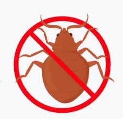 Professional Bedbug Control Services in NashikBedbugs are small, persistent pests that can hide in mattresses, bed frames, sofas, furniture, cracks, crevices, and other concealed areas. A bedbug infestation can disturb sleep, cause discomfort, and become increasingly difficult to manage if it spreads to multiple areas.Kamal Care Services offers professional Bedbug Control Services in Nashik for residential, commercial, and institutional properties. Our approach focuses on identifying potential bedbug hiding areas and applying suitable control measures according to the condition and requirements of the premises.Residential Bedbug ControlBedbugs can enter homes through luggage, clothing, used furniture, bedding, and other belongings. They commonly remain hidden around beds and furniture during the day and become active when people are resting.Our residential bedbug control services in Nashik are suitable for:Bedrooms and sleeping areasMattresses and bed framesSofas and upholstered furnitureCupboards and furnitureApartments and flatsResidential societiesGuest roomsCommercial Bedbug Control ServicesHotels, hostels, guest houses, service apartments, offices, and other accommodation facilities can be particularly vulnerable to bedbug problems because of frequent movement of people and belongings.Kamal Care Services provides commercial bedbug control in Nashik to help businesses identify affected areas and manage bedbug infestations effectively.Bedbug Control for Hotels and HostelsA bedbug problem in accommodation facilities requires timely attention because insects can potentially spread between rooms through luggage, clothing, furniture, and other belongings.Our services can be considered for:HotelsHostelsGuest housesPaying guest accommodationsService apartmentsDormitoriesStaff accommodationCommon Signs of Bedbug InfestationIdentifying an infestation early can help prevent the problem from becoming more widespread. Common signs include:Live bedbugs around beds and furnitureSmall dark spots on mattresses or beddingShed insect skinsTiny eggs or eggshellsBedbugs or evidence of activity around mattress seamsRecurring unexplained bites or skin irritationBedbug activity around cracks, crevices, and furniture jointsOur Bedbug Control ProcessKamal Care Services follows a structured approach to bedbug control:1. InspectionWe inspect the affected areas to identify visible signs of bedbug activity and potential hiding locations.2. Infestation AssessmentMattress seams, bed frames, furniture joints, cracks, crevices, and other potential harbourage areas are assessed.3. Targeted TreatmentSuitable bedbug control measures are applied to identified areas based on the site condition and level of infestation.4. Customer Preparation GuidanceWe provide appropriate instructions regarding preparation, cleaning, and other steps that may be required before and after treatment.5. Follow-Up SupportDepending on the severity and extent of the infestation, additional treatment or follow-up may be recommended.Why Choose Kamal Care Services?Professional bedbug control services in NashikResidential and commercial pest control solutionsServices for hotels, hostels, and guest accommodationsDetailed inspection of affected areasSite-specific treatment planningExperienced pest control service teamFocus on controlling active infestationsPreventive guidance to help reduce recurring problemsProtect Your Home or Business from BedbugsBedbugs can spread through luggage, clothing, bedding, furniture, and other personal belongings. Ignoring early signs may allow an infestation to become more difficult to manage.If you notice signs of bedbugs in your home, apartment, hotel, hostel, office, or commercial property, contact Kamal Care Services for professional Bedbug Control in Nashik. Our team can assess the affected areas and recommend a suitable treatment plan.