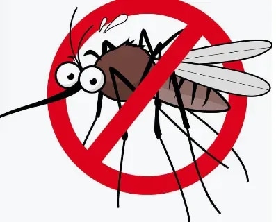 Professional Mosquito Control Services in NashikMosquitoes can become a major nuisance in homes, offices, commercial properties, housing societies, schools, hospitals, factories, and outdoor areas. Standing water, drains, gardens, construction areas, and other moisture-prone locations can create favourable conditions for mosquito breeding.Kamal Care Services provides professional Mosquito Control Services in Nashik to help manage mosquito activity and reduce breeding and infestation around residential, commercial, and industrial premises. Our mosquito control solutions are planned according to the property, mosquito activity, breeding conditions, and site requirements.Residential Mosquito Control ServicesMosquitoes can enter homes through doors, windows, balconies, gardens, and other openings. Regular mosquito activity can make indoor and outdoor areas uncomfortable for residents.Our residential mosquito control services in Nashik are suitable for:Homes and apartmentsResidential societiesBalconies and terracesGardens and lawnsGarages and parking areasDrains and moisture-prone areasOther mosquito-prone locationsCommercial Mosquito Control ServicesMosquitoes can affect the comfort of customers, employees, visitors, and occupants in commercial premises. Businesses such as restaurants, hotels, offices, schools, hospitals, shops, and warehouses may require regular mosquito management.Kamal Care Services provides commercial mosquito control in Nashik based on the property's layout and mosquito activity.Industrial Mosquito Control ServicesIndustrial premises can have large outdoor areas, drainage systems, storage zones, landscaping, water accumulation points, and other locations where mosquitoes may breed.Our industrial mosquito control services focus on identifying mosquito-prone areas and implementing suitable control measures to help reduce mosquito activity across the premises.Common Mosquito Breeding AreasMosquitoes can breed in stagnant or slow-moving water. Common problem areas include:Open water containersDrainage areasWater-collection pointsPlant pots and traysRoof guttersConstruction sitesGardens and landscaping areasOpen tanks and containersWaste and discarded materials that collect waterOther areas with standing waterIdentifying and addressing potential breeding areas is an important part of an effective mosquito management program.Our Mosquito Control ApproachKamal Care Services follows a systematic approach to mosquito control:1. Site InspectionOur team assesses the property to identify mosquito activity and potential breeding locations.2. Breeding Source IdentificationAreas containing stagnant water, moisture, vegetation, drainage issues, or other conditions favourable to mosquito breeding are identified.3. Targeted Mosquito ControlSuitable control measures are implemented in affected and identified areas according to site requirements.4. Preventive RecommendationsWe provide guidance on reducing standing water and other conditions that may encourage mosquito breeding.5. Follow-Up ServiceFor properties with recurring mosquito activity, follow-up or scheduled mosquito control services can be planned according to requirements.Benefits of Professional Mosquito ControlProfessional mosquito management can help:Reduce mosquito activityIdentify potential breeding areasImprove comfort in indoor and outdoor spacesSupport better property hygieneReduce recurring mosquito nuisanceMaintain cleaner residential and commercial surroundingsManage mosquito problems across larger premisesWhy Choose Kamal Care Services?Professional mosquito control services in NashikResidential, commercial, and industrial solutionsSite inspection and problem assessmentTargeted mosquito management approachFocus on identifying breeding sourcesExperienced pest control service teamSolutions planned according to site conditionsFollow-up support for recurring mosquito problemsKeep Your Property Free from Mosquito NuisanceMosquito problems can increase when suitable breeding conditions are left unaddressed. Along with professional treatment, eliminating standing water and maintaining drainage and surrounding areas can help reduce mosquito breeding opportunities.For reliable Mosquito Control in Nashik, contact Kamal Care Services. We provide mosquito management solutions for homes, residential societies, offices, hotels, schools, hospitals, warehouses, factories, and other properties.