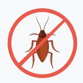 Professional Cockroach Control Services in NashikCockroaches are common household and commercial pests that can quickly multiply when they find suitable food, moisture, and shelter. They can hide in kitchens, drains, cupboards, storage areas, cracks, and other concealed spaces, making them difficult to control with basic cleaning alone.Kamal Care Services provides professional Cockroach Control Services in Nashik for homes, apartments, offices, restaurants, hotels, shops, warehouses, hospitals, and industrial premises. Our pest control approach focuses on identifying cockroach activity, locating potential hiding areas, and applying suitable control measures according to the site conditions.Residential Cockroach Control ServicesCockroaches are frequently found in kitchens, bathrooms, utility areas, cupboards, and other moisture-prone locations in homes. They can move through small gaps and concealed spaces, making an infestation difficult to manage.Our residential cockroach control services in Nashik are suitable for:Independent houses and apartmentsResidential societiesKitchens and utility areasBathrooms and wash areasCupboards and storage spacesFood storage areasDrains and moisture-prone locationsCommercial Cockroach Control ServicesCockroach infestations can create hygiene and maintenance concerns for businesses. Restaurants, hotels, food outlets, offices, shops, schools, hospitals, and other commercial establishments may require professional pest management.Kamal Care Services offers commercial cockroach control in Nashik to help businesses manage cockroach activity and maintain cleaner premises.Industrial Cockroach Control ServicesFactories, warehouses, food processing facilities, storage areas, and other industrial premises can provide suitable conditions for cockroaches due to food sources, moisture, machinery, storage materials, and concealed spaces.Our industrial cockroach control services are planned according to the size and requirements of the premises, with attention to areas where cockroach activity is identified.Common Signs of Cockroach InfestationEarly identification can help prevent cockroach problems from becoming more widespread. Common signs include:Live cockroaches, particularly at nightCockroach droppings or dark spotsUnpleasant odour in heavily affected areasCockroach egg casesShed skins or insect remainsCockroaches around drains and plumbing areasActivity inside cupboards and storage spacesCockroaches around food preparation areasCommon Cockroach Hiding AreasCockroaches prefer dark, warm, and moisture-prone areas. Common hiding locations include:Kitchen cabinets and drawersBehind refrigerators and appliancesUnder sinksAround drains and plumbingBathroom areasCracks and wall gapsStorage roomsGarbage and waste areasFood storage locationsOur Cockroach Control ProcessKamal Care Services follows a structured approach to cockroach management:1. Site InspectionWe assess the premises to understand the extent of cockroach activity and identify potential harbourage areas.2. Problem IdentificationCommon food, moisture, entry, and hiding points are identified to understand the conditions contributing to the infestation.3. Targeted TreatmentAppropriate cockroach control measures are applied to affected and identified areas according to the property and site requirements.4. Preventive RecommendationsWe provide guidance on sanitation, moisture management, waste handling, and other practices that can help reduce conditions favourable to cockroaches.5. Follow-Up SupportFor recurring or extensive infestations, follow-up services may be recommended based on the condition of the premises.Benefits of Professional Cockroach ControlProfessional cockroach management can help:Reduce cockroach activityAddress hidden infestation areasManage recurring cockroach problemsImprove cleanliness and hygieneProtect food storage and preparation areasReduce pest-related maintenance concernsSupport better pest prevention practicesWhy Choose Kamal Care Services?Professional cockroach control services in NashikResidential, commercial, and industrial solutionsDetailed site inspectionTargeted treatment approachExperienced pest control service teamSolutions based on property and infestation conditionsPreventive guidance for long-term pest managementServices for homes, offices, restaurants, hotels, warehouses, and industriesKeep Your Property Cockroach-FreeCockroaches can reproduce quickly and remain hidden in areas that are difficult to access. Maintaining cleanliness, managing food waste, reducing moisture, sealing gaps, and arranging professional pest control when required can help manage cockroach problems.If you are looking for reliable Cockroach Control in Nashik, contact Kamal Care Services for a professional assessment and suitable pest control solution for your home or business.