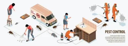 Kamal Care Services offers Tension Free Treatment in Nashik to help customers manage common pest problems with a convenient and systematic approach. Our service is designed to identify pest activity and address the areas where pests commonly hide, enter, breed or find food and moisture.We provide customized pest management solutions for homes, offices, shops, commercial establishments, warehouses and industrial premises, depending on the type and severity of the pest problem.What Is Tension Free Treatment?Tension Free Treatment is a convenient pest management service aimed at reducing the stress and inconvenience caused by recurring pest activity. Instead of dealing with pests repeatedly on your own, professional inspection and treatment help identify the underlying problem and suitable control measures.The service can be considered for common pest concerns such as:CockroachesAntsMosquitoesFliesRodentsBedbugsOther common household and commercial pestsResidential Tension Free TreatmentPest problems in kitchens, bathrooms, bedrooms, storage areas, balconies and utility spaces can become difficult to manage. Our team inspects the property and recommends suitable treatment based on the pest activity and affected areas.Commercial Tension Free TreatmentOffices, shops, restaurants, hotels, schools, warehouses and other commercial properties require regular attention to maintain a clean and hygienic environment. Our professional treatment approach helps businesses address existing pest activity and identify conditions that may encourage recurring infestations.Industrial Tension Free TreatmentIndustrial facilities and storage areas may have multiple pest entry points, food sources, moisture areas and hiding spaces. We assess the premises and develop a treatment approach according to the property's requirements and pest problem.Our Tension Free Treatment Process1. InspectionOur team examines the property to identify visible pest activity, hiding areas, entry points and possible breeding or food sources.2. Pest IdentificationWe determine the type of pest problem and assess the affected areas to select an appropriate treatment approach.3. Targeted TreatmentTreatment is carried out in relevant areas based on the pest infestation and site conditions.4. Preventive GuidanceWe provide practical recommendations regarding cleanliness, moisture, waste management, food storage and potential entry points to help reduce recurring pest activity.5. Follow-Up SupportWhere required, additional treatment or follow-up services can be planned according to the property's pest management needs.Benefits of Tension Free TreatmentProfessional pest problem assessmentConvenient and systematic pest managementHelps address common household and commercial pestsIdentification of pest hiding and entry areasSuitable for residential, commercial and industrial propertiesPreventive recommendations to reduce recurring pest activityHelps maintain a cleaner and more comfortable environmentWhy Choose Kamal Care Services?Kamal Care Services provides professional pest management services in Nashik with an emphasis on proper inspection, suitable treatment and preventive measures. Our team works according to the specific requirements of each property rather than using the same approach for every pest problem.Whether you are facing occasional pest activity or a recurring infestation, our Tension Free Treatment Service in Nashik can help you take a more systematic approach to pest management.Get Tension Free Treatment in NashikFor professional and convenient pest management, contact Kamal Care Services for Tension Free Treatment in Nashik. We can assess your pest problem and recommend a suitable service based on your property and requirements.