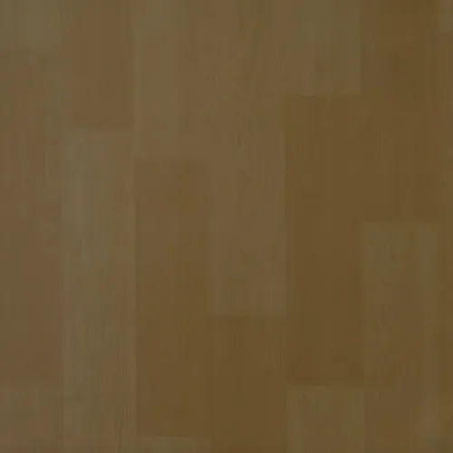 GALAXXY 213704 product image