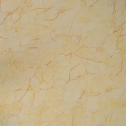 GDP 557302 product image