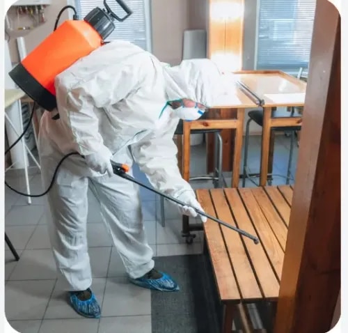 Wood Borer Control & Treatment in Bangalore product image