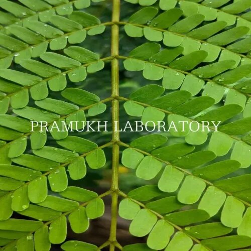 Agrochemical And Pesticide Testing Services In Ahmedabad