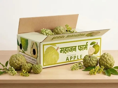 A customized custard apple (sitaphal) packaging box is a sturdy, ventilated, and eco-friendly corrugated carton designed to protect soft and delicate fruits during domestic and international transit.