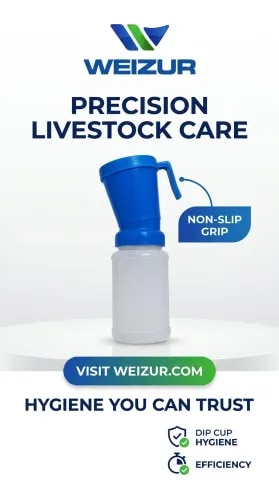 Cow Post Teat Dip Cups product image