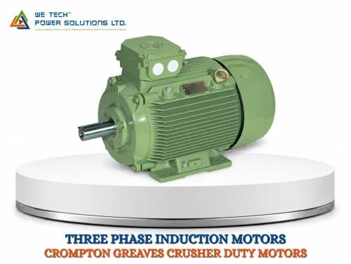 CROMPTON GREAVES CRUSHER DUTY MOTORS