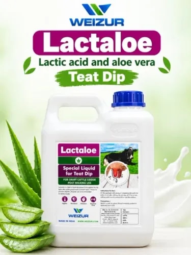 LACTALOE TEAT DIP SOLUTION product image