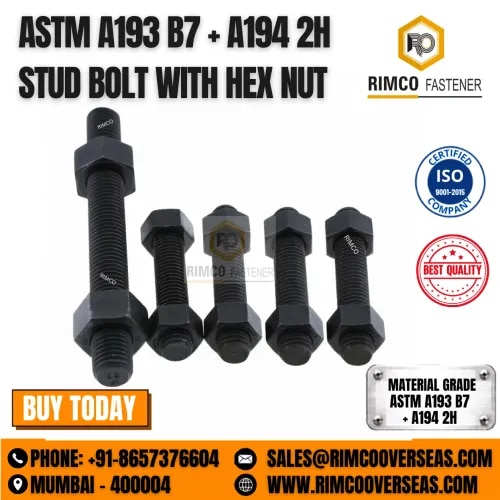 ASTM A194 2H STUD BOLT WITH HEX NUT product image