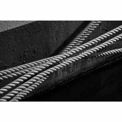 Galvanised Steel Wire Ropes Rs 40 / Meter product image
