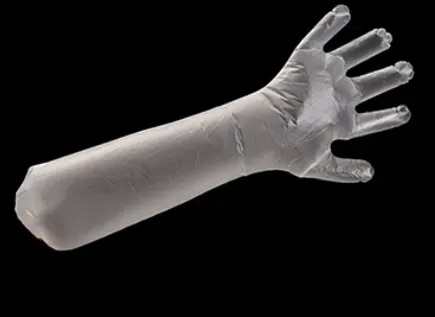 HM VETERNIARY HAND GLOVES product image