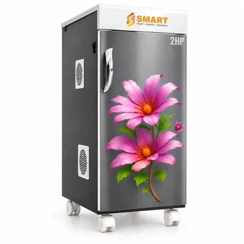2HP GOLD MODEL - PLB product image