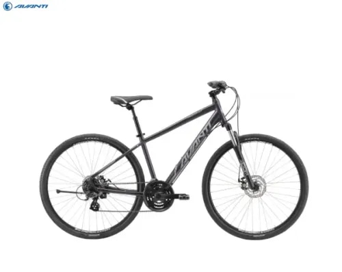 AVANTI DISCOVERY MS 1 product image
