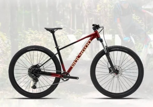 POLYGON XTRADA 5 product image
